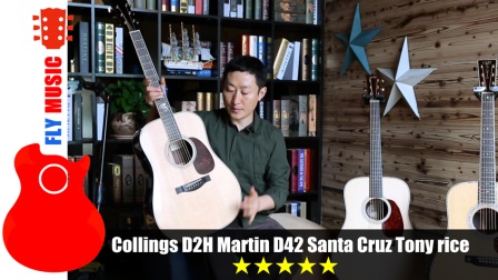Martin d42 Collings D2H Santa Cruz tony rice 吉他评测