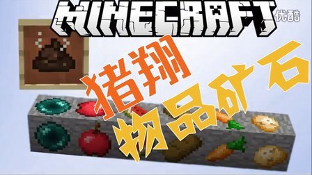 【我的世界MOD】猪翔 物品矿石-模组介绍 Minecraft麦块游戏实况解说