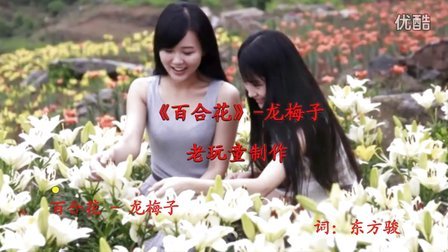 视频歌曲：金珠山老玩童：《百合花》超清
