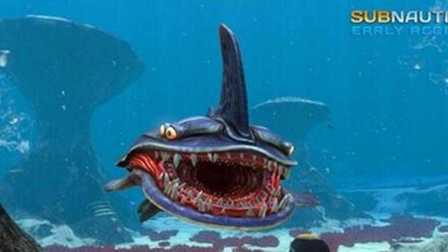 【峻晨解说】美丽水世界#75-探索极光号海底遗迹！一群虎鲨闻声而来~