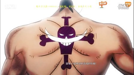 【Y欢哥】海贼王：燃血第八弹