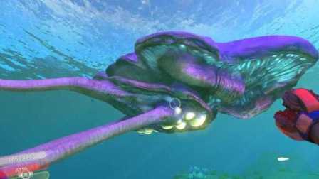 【峻晨解说】美丽水世界#123-新物种巨型暗礁鱼！背上是一个生态圈~