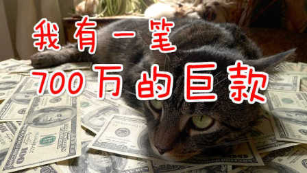 【猫神的日常】被彩票店阿姨勾引 买了80块钱彩票 心疼