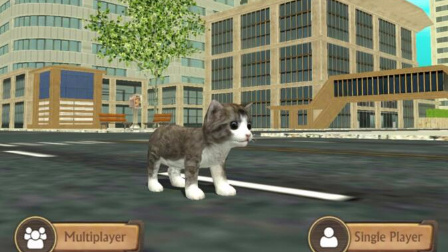 【峻晨玩手游】猫咪模拟2-萌宠猫咪的成长之路！