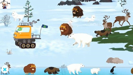 北极世界探险试玩 麝香牛、北极狐 北极生物认知
