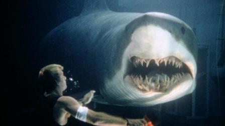 阿斗带你看电影 2017 变种鲨鱼智商比人类还高 阿斗带你速看《深海狂鲨》