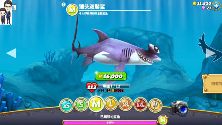 饥饿鲨世界第5期：解锁M号鲨鱼