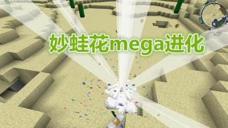 MC神奇宝贝mega终版ep27-妙蛙花mega进化