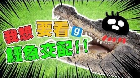 我想要看鳄鱼  GMOD 躲猫猫 #精华篇
