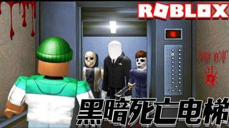 【仙草】ROBLOX《虚拟世界》黑暗死亡电梯#吓得我帽子都绿了逗比搞笑网页手机乐高小游戏