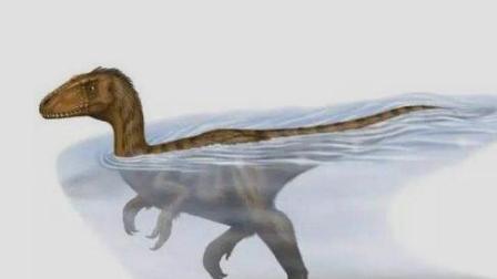 动物王囯 侏罗纪公园恐龙动画片 恐龙当家 恐龙时代 小恐龙找朋友