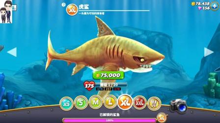 饥饿鲨世界第24期: 虎鲨来了