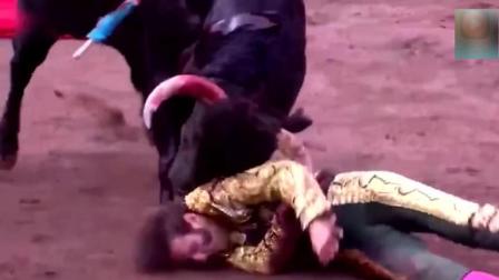 西班牙斗牛士失误被牛顶倒, 就再也没能站起来