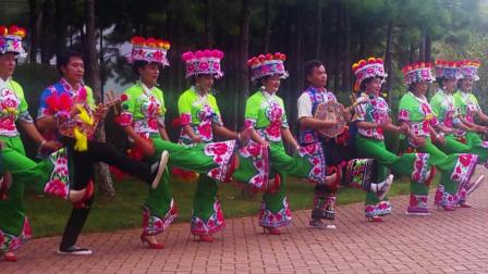 云南彝族盛装舞步左脚调, 你能找出总共有几种舞步吗?