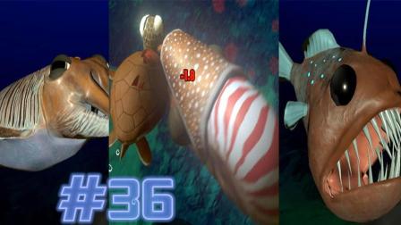 【XY小源】海底大猎杀 第36期 3个试玩 海龟 鱿鱼 灯笼鱼