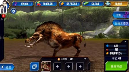 侏罗纪世界游戏第534期: 古巨猪★恐龙公园