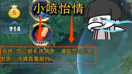 王者荣耀 天美官方要干掉所有的喷子, 这招简直太狠了