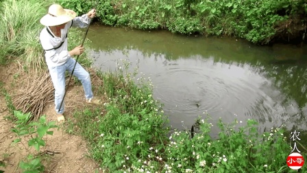 农人小哥的自频道