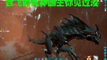 52【爱尼玛热游】会飞的死神国王! 看我duang一声 方舟生存进化 畸变DLC