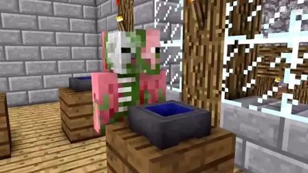 MC动画-怪物学院-精灵宝可梦GO