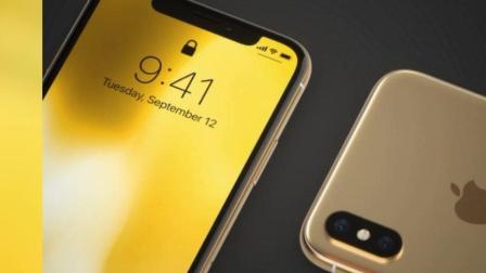 黄金版iPhone X喜欢吗? 下一代可能新增这款色