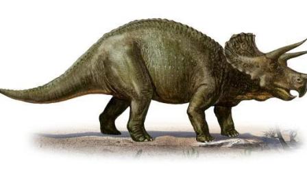 侏罗纪的世界 恐龙大混战01 三角龙