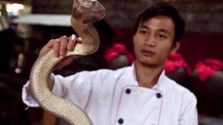 蛇肉都可以吃? 越南的全蛇宴让人口水直流