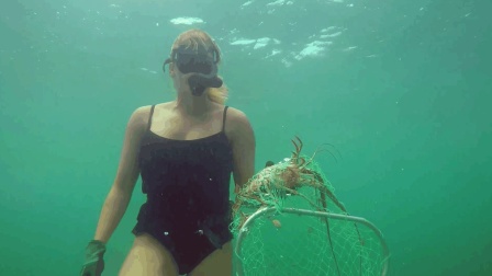 和女朋友一起潜入海底抓澳龙, 一只龙虾够好几个人吃
