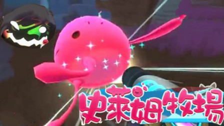 【筱白解说】史莱姆牧场★04：史莱姆牧场被黑色卡尔给霸占好凶猛