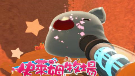 【筱白解说】史莱姆牧场★05：好大的史莱姆王竟然喜欢吃鸡