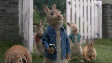 动画电影《比得兔》: 超萌兔子和人斗智斗勇, 真的是欢笑不断呢