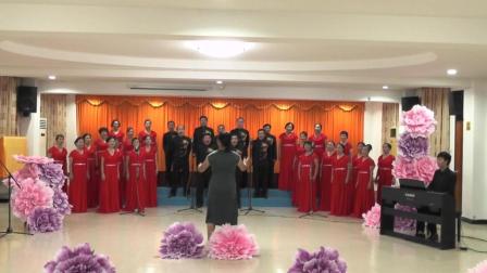 左小青杨树林改版摇滚《篱笆墙的影子》, 一曲