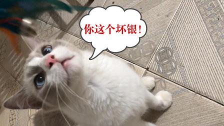 落落家的傻白甜要咔擦啦!