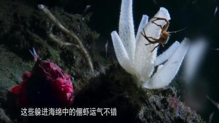 视界就在眼前的主页_土豆视频