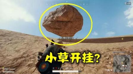 绝地求生: 一吨重的石头说举就举, 这几颗小草像开了挂?