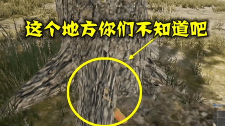 绝地求生: 全场只有一把左轮手枪, 40分钟过后他能成功吃鸡么