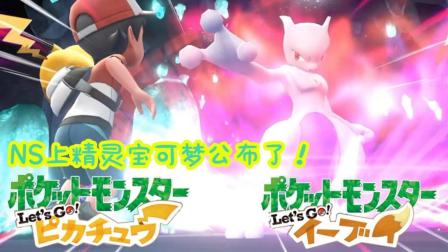 【Z小驴】NS精灵宝可梦 皮卡丘 伊布! 有消息了!