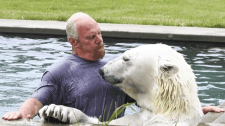 矩形视频 世界上唯一能与北极熊一起游泳的男人！网友：灰熊人！