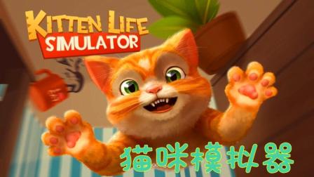 【Z小驴】小猫模拟器~疯狂搞破坏才是猫星人的存在!
