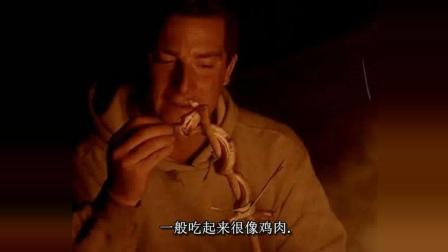 贝爷的孤岛求生, 烤鳄鱼肉串, 吃到撑是种什么体