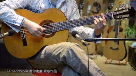 Etude 月光 Fernando Sor 索尔 古典吉他作品 马丁尼80C演奏