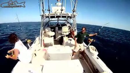 巨型蓝鳍金枪鱼 -   钓鱼视频
