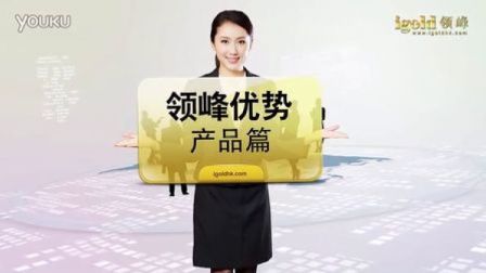 梦旅创意作品集 - 领峰贵金属公司简介