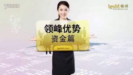 梦旅创意作品集 - 领峰贵金属公司简介