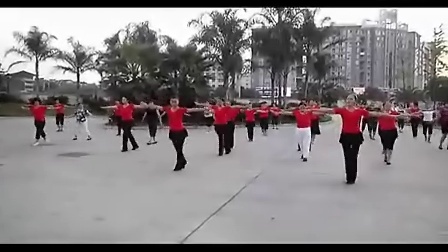 青儿广场舞 最炫民族风广场舞教学 广场舞蹈视频大全
