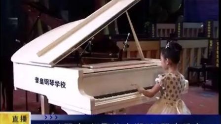 邹翀率优秀学生与南京、香港三地少年钢琴家2013钢琴音乐会《新余电视台》报道