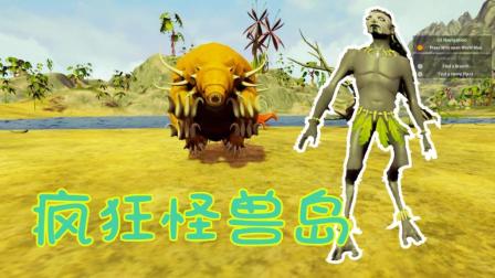 【Z小驴】风之石~都是怪物的岛屿! 边查字典边生存!