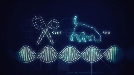 ：人造DNA存储设备面世