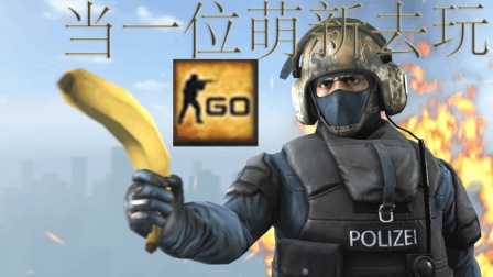 【小亮】当一位萌新去玩CSGO|直播录像锦集