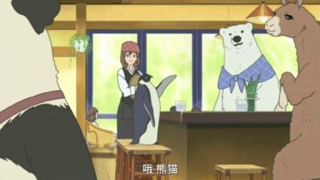 白熊咖啡厅：笹子小姐帮企鹅先生捏肩，却找不到企鹅肩膀在哪！